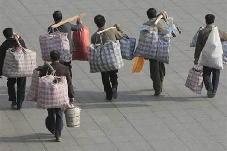 梦见蛇装在袋子里是什么意思 预兆