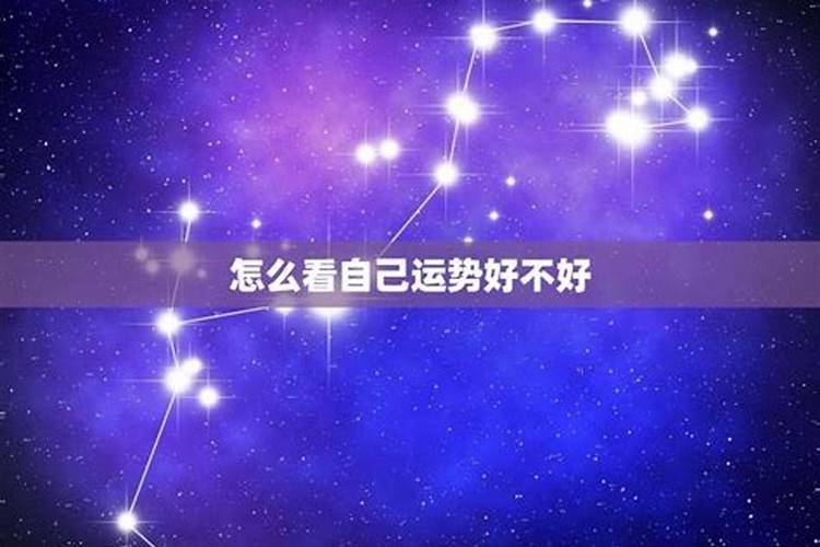 72年鼠女在2025年的全年运势
