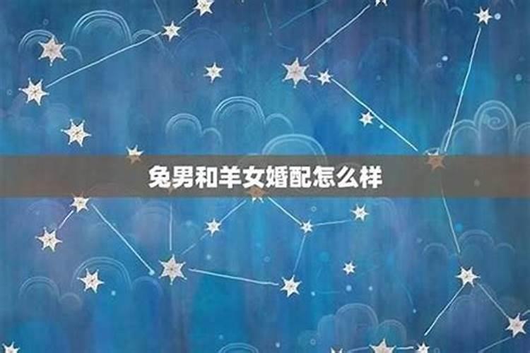 属兔属羊千万不能在一起,羊与兔不能在一起的原因