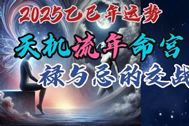 夫妻宫有天机的女性 天机星爱情运程详解？