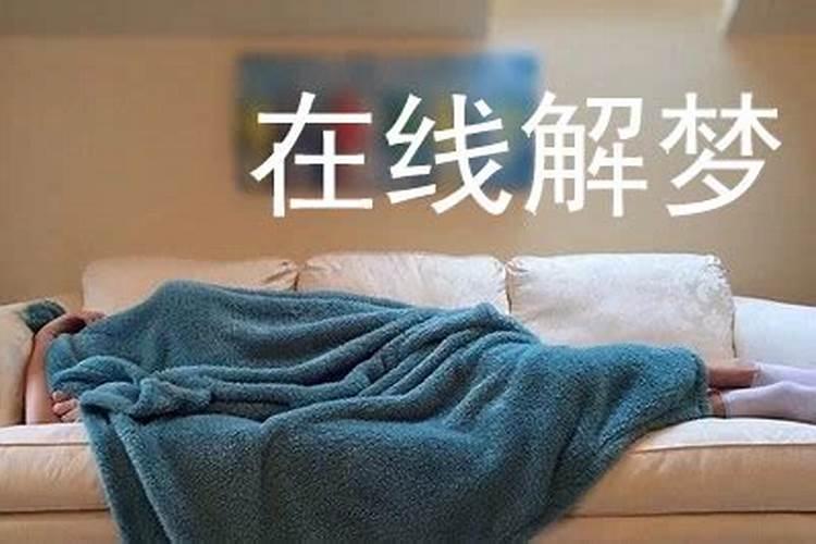 属马的男人适合什么属相的女人