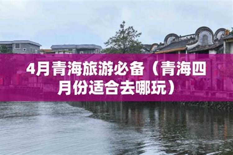 哪的庙会好玩