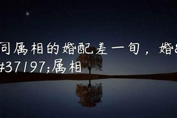 夫妻同一属相有什么说法