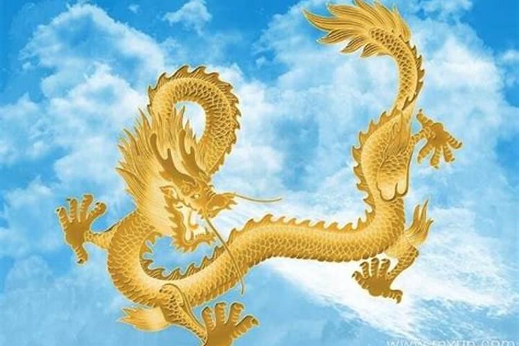 梦见金龙水中游