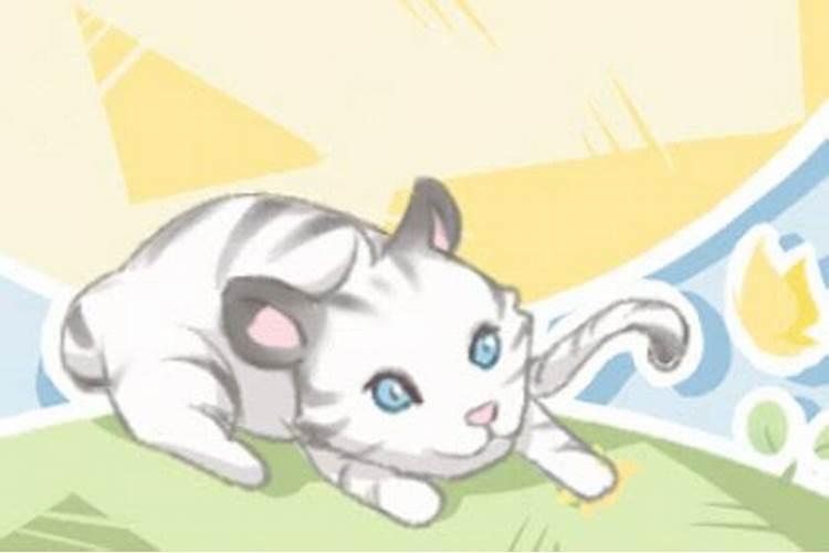 梦见好多猫是什么意思周公解梦？