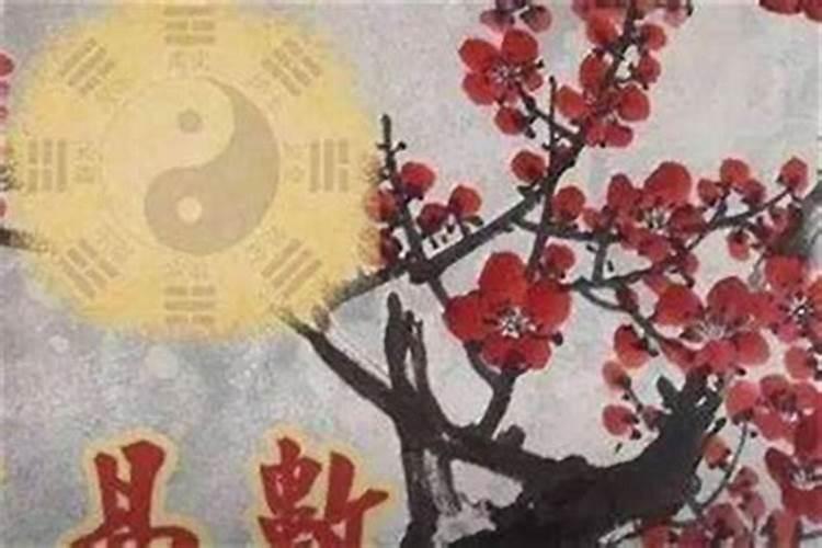 双胞胎八字相同算命怎么算