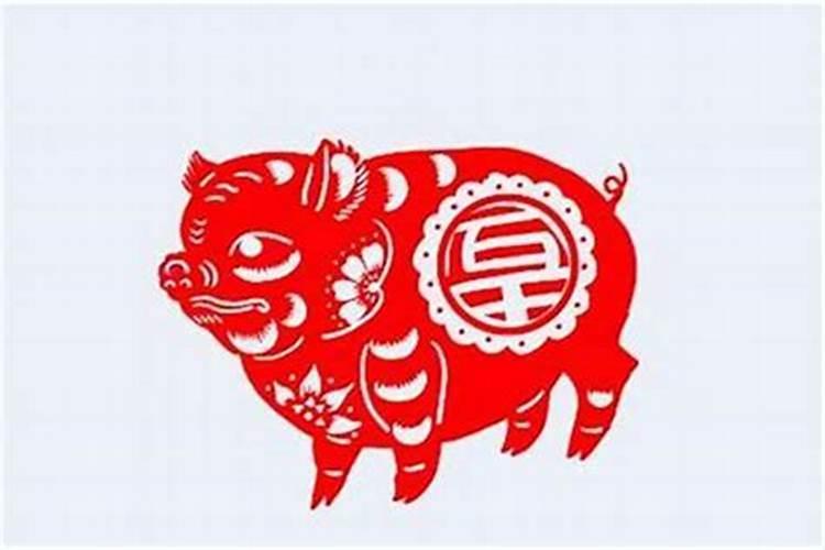 为什么双胞胎八字相同但命运不同,请大师解释  百度宝宝知道