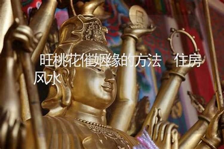 属猴女和属羊男在一起合适吗 羊和猴在一起对谁不利