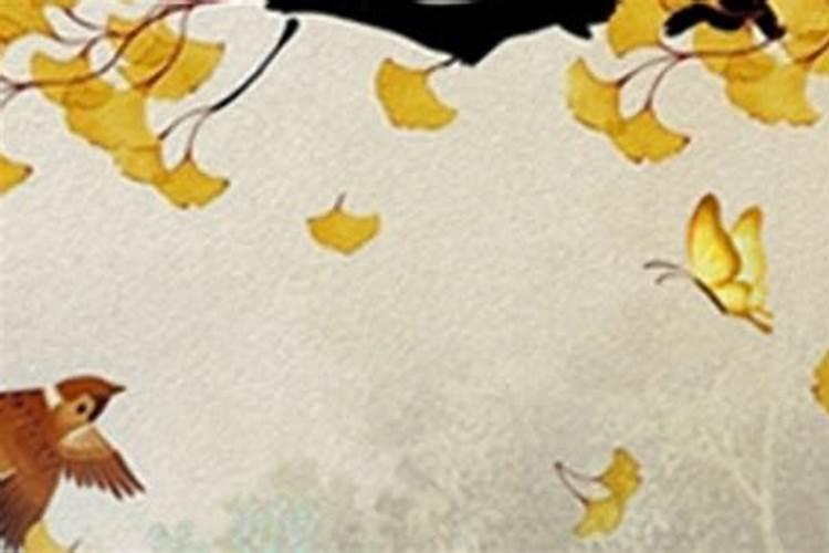 属虎取名宜用字 有福气名字推荐？
