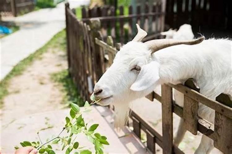 夏季岁时的习俗有哪些？