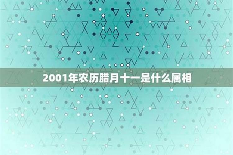 梦见朋友怀孕了是什么意思 是好事还是坏事