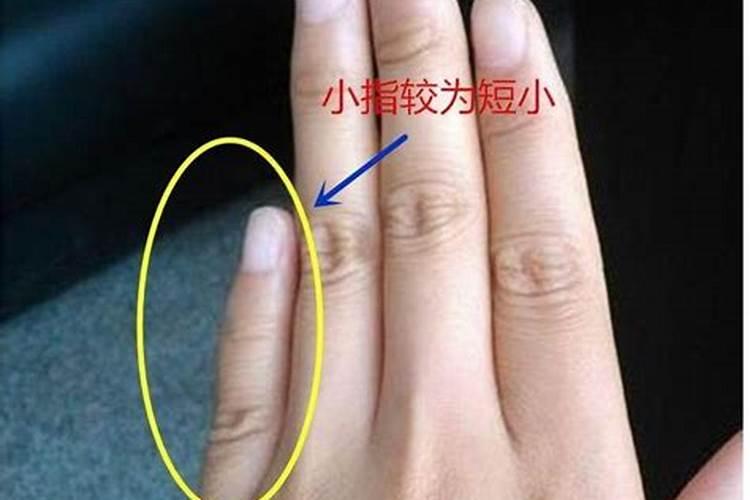 一九六五年属蛇的运势,一九六五年农历十五出生属蛇人的运气如何