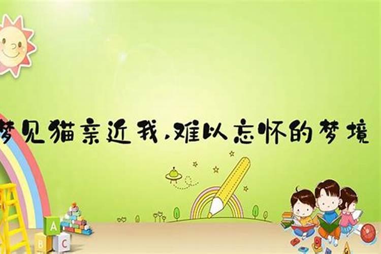 孕妇梦见猫扑向自己是胎梦吗