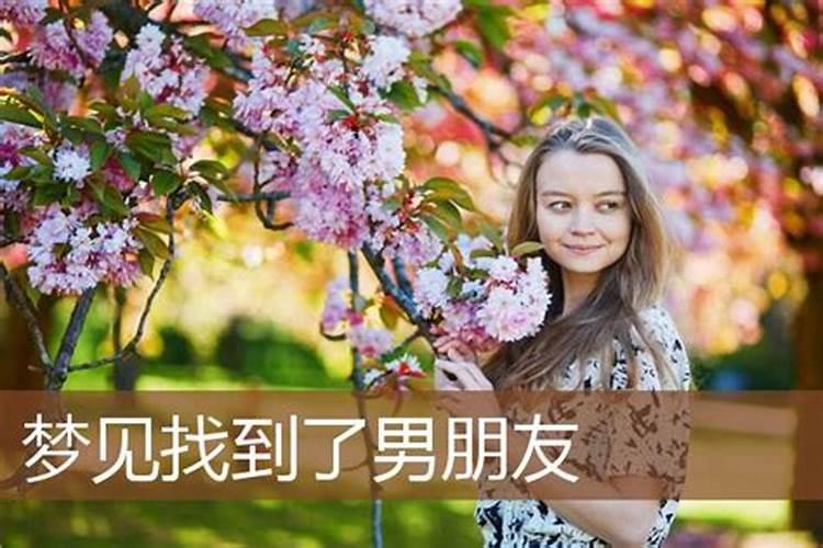 猪和龙的属相适合做夫妻吗