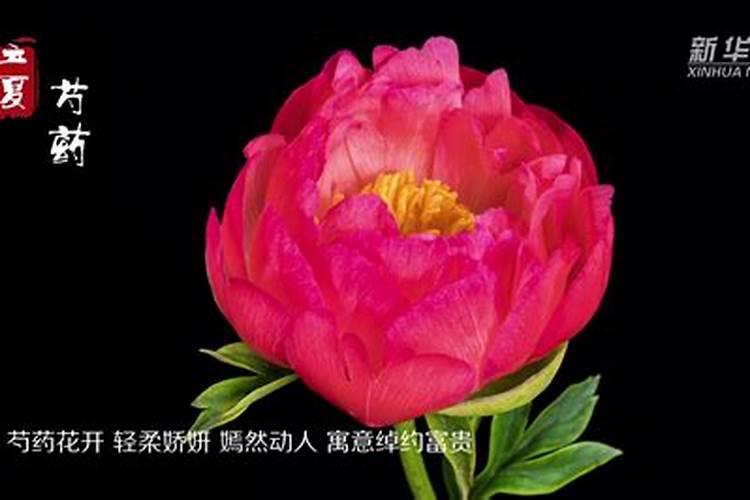 立夏有什么要注意的