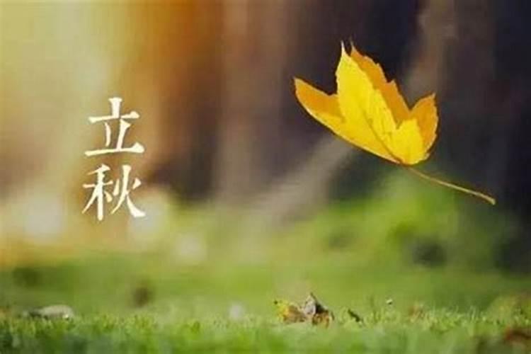 03年羊到底是水命还是木命