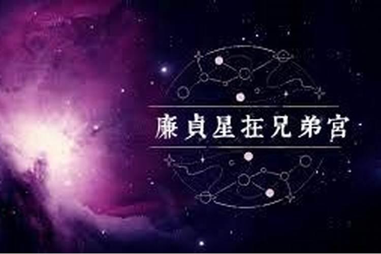 文昌位应该放什么风水宝物