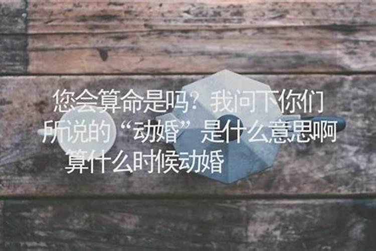 陈天道老师是谁？