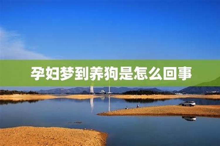 梦见自己去上学代表什么预兆 梦见自己去上学寓意