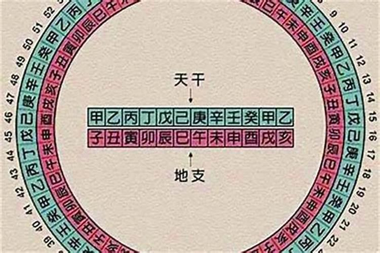 大运是地支为主吗 大运主要是看天干还是地支