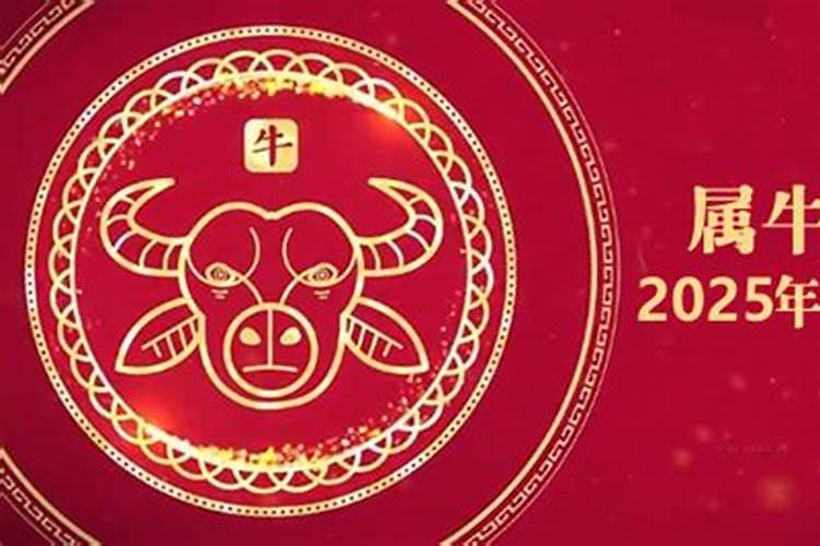 生肖牛2025年运势及运程如何