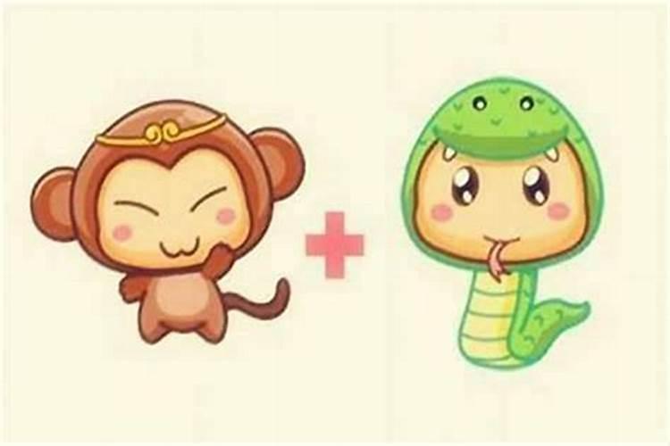 八字合婚中木蛇与金猴婚配好吗？