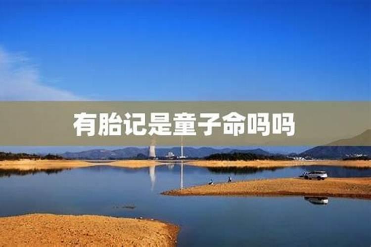 农历10月出生属狗人命好吗