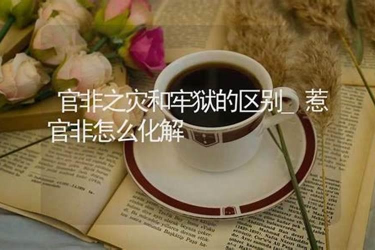 梦到被猪咬是什么意思