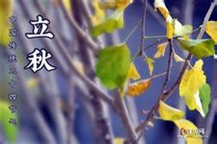 2024年立秋是几点几分几秒钟 立秋习俗