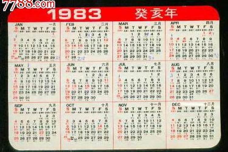 我是女士,83年农历10月初三出生。请问:今年我的事业和家庭走势如何...