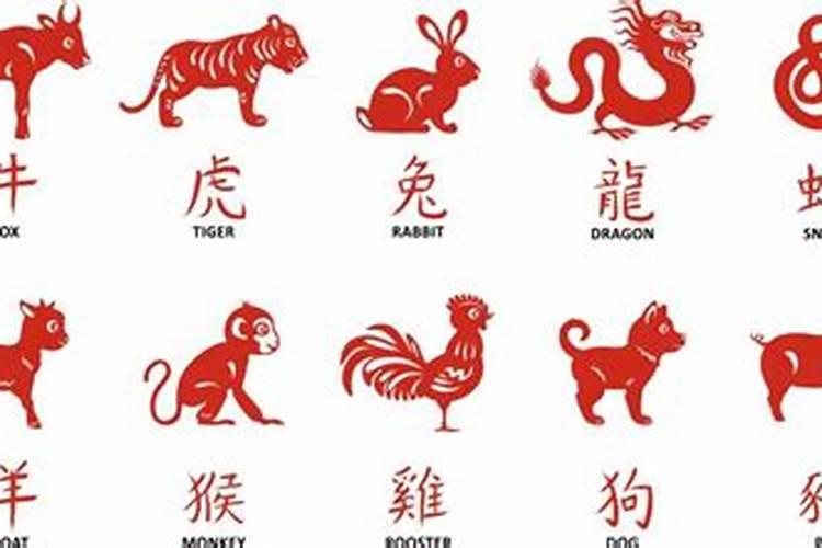 世上最丑的四种动物是什么？