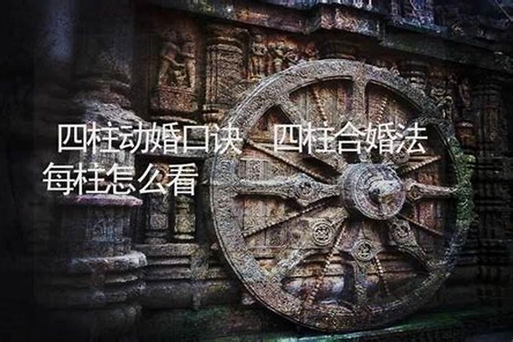 合婚主要看年柱还是月柱还是日柱 夫妻合婚最佳配对？