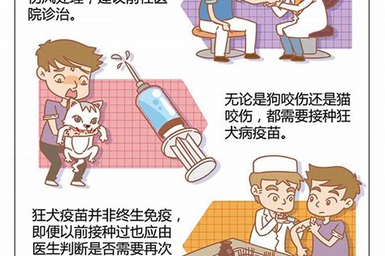梦见被猫和老鼠咬的预兆