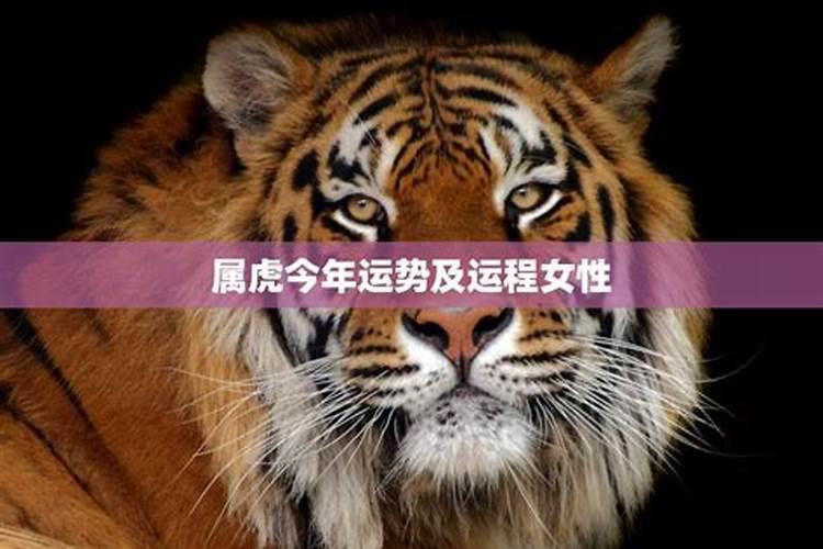 2025属虎人每月运势及运程如何