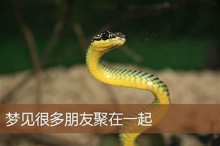梦见姐姐生了个女孩是什么意思？