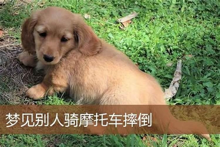 戊日2025年时间表