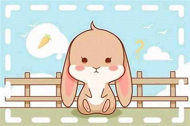属兔女正月二十九出生 运势怎么样？