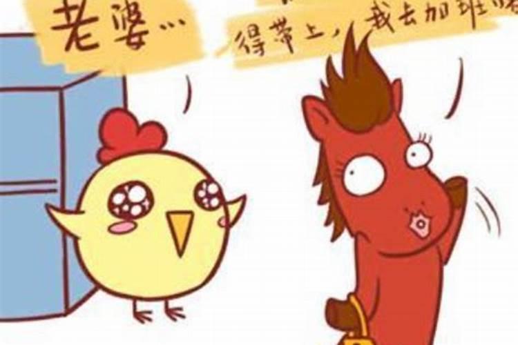 属鸡的能否与属马的婚配,女78年属马的和男69年属鸡的合婚么