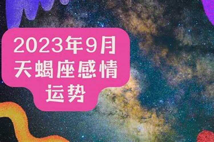补一次财库能管几年用