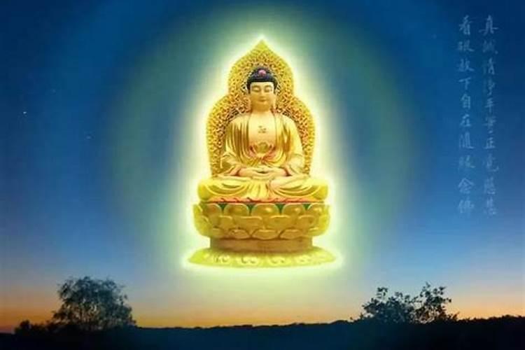 四十多天,今天做人流了,我杀生了,怎么补过