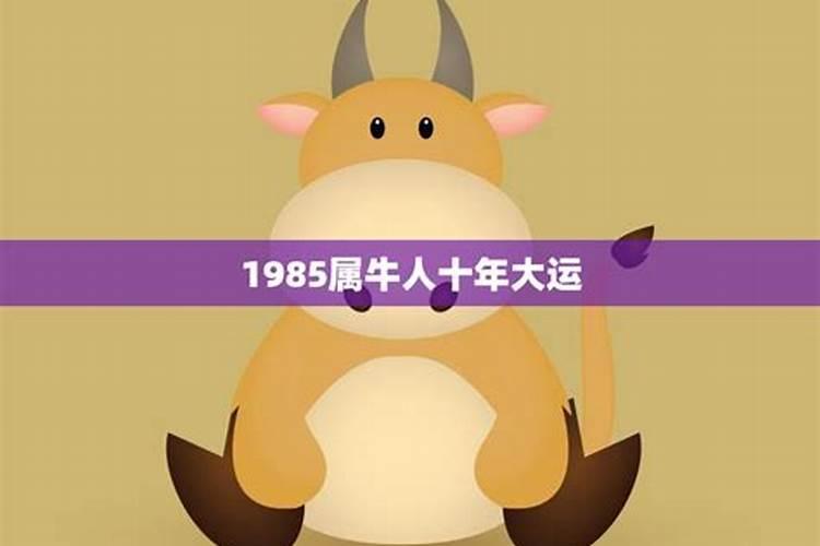 1985年属牛的一生命运 他们的婚姻如何？
