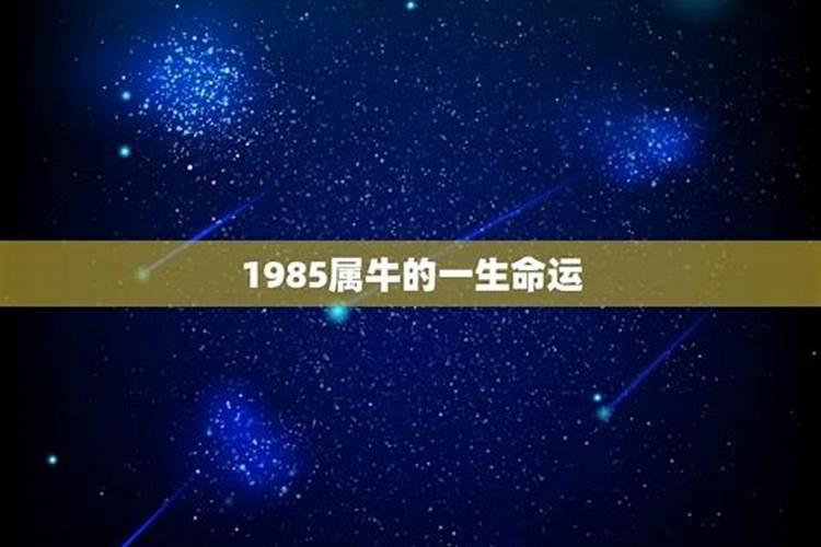 1985年出生的属牛人是穷苦命吗,几月出生命最好？