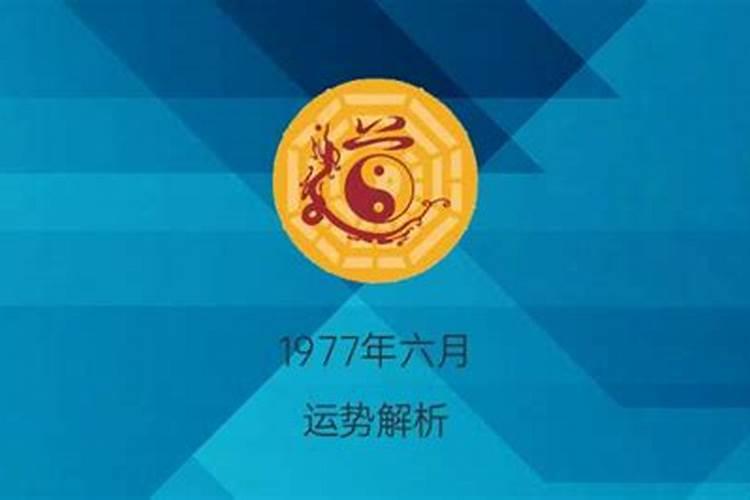 属猪人2025年每月运势