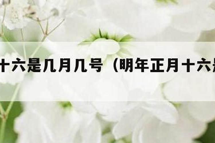 2025财神节是几月几号