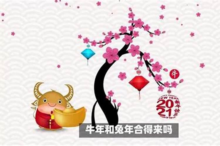 78的马和75的兔婚配可以吗,78年属马和75年属兔相配吗？