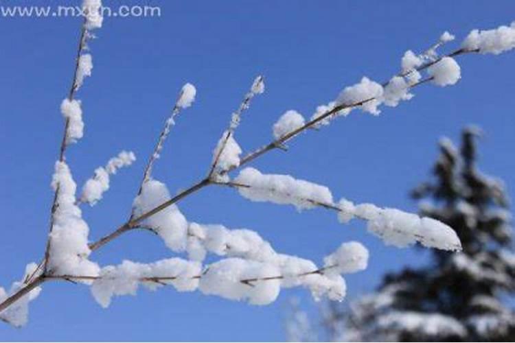 梦见下雪是什么征兆？