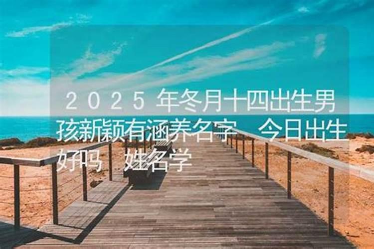 2025年冬月蛇宝宝和腊月蛇宝宝哪个运势更好