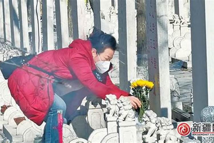 我丈夫93年属鸡,我96年属鼠生什么属相的宝宝好