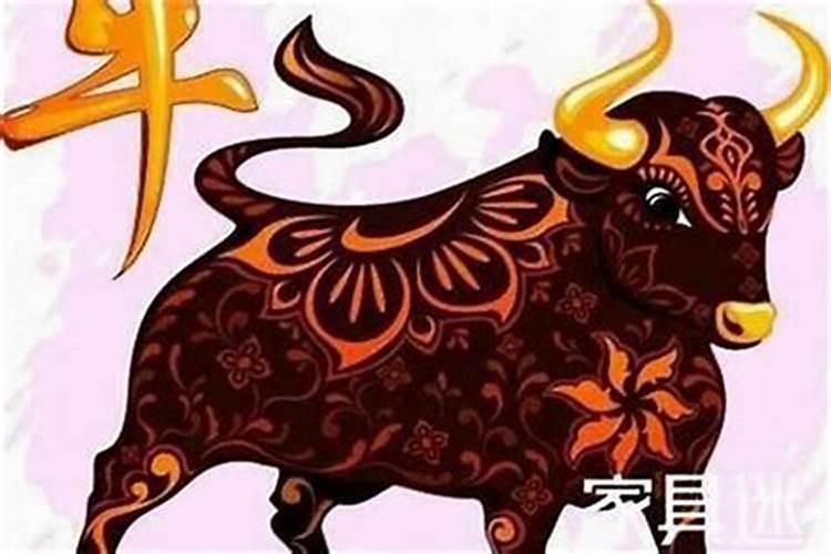 八字合婚看哪里 这四点内容都比较重要？