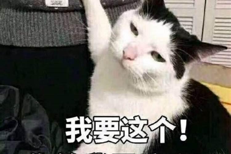 想知道78年阴历12 月26女那天生日的命运